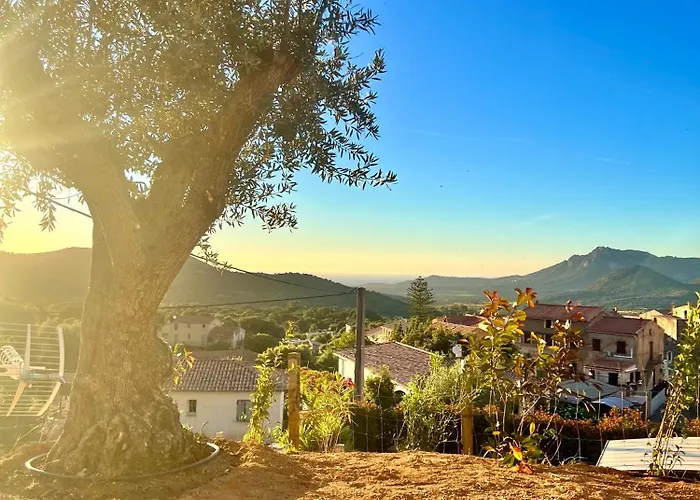 Bella Vita Calenzana photo