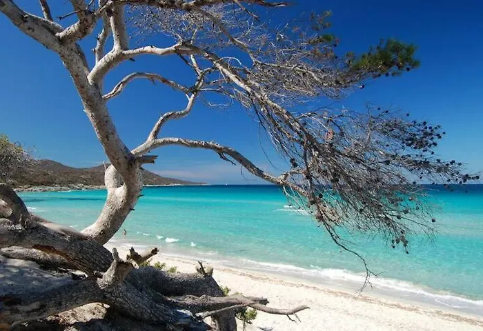 Casa Mulinchese Entre Mer Et Montagne Volpajola Foto