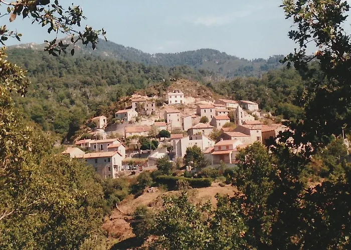 Appartement De Montagne Corsica Zicavo photo