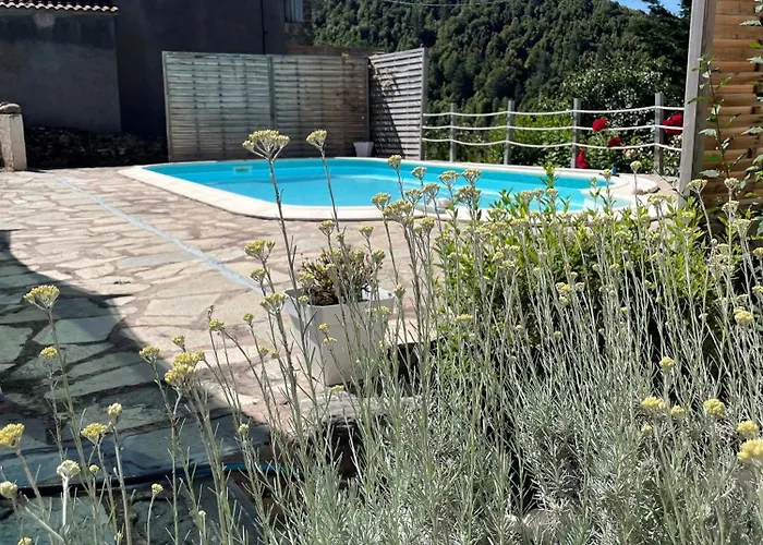 Location De Charme Au Coeur De La Corse - Piscine Privative - Calme - Nature San-Lorenzo 사진