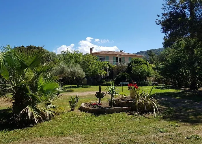 U Pinu Appartement 3 Chambres Olmeto  foto