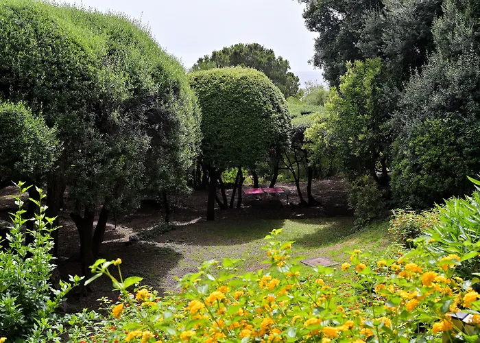 Hotel Pietracap Ville-di-Pietrabugno φωτογραφία
