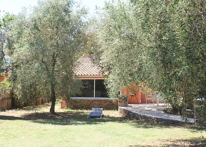صورة Chambres D'Hotes Le Clos Des Oliviers Sorbo-Ocagnano