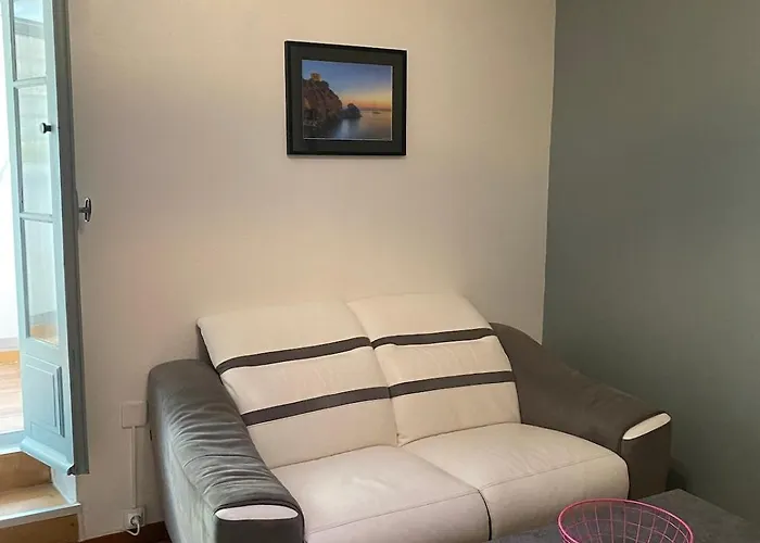 Ota T2 Proche Rivieres Et Plages, Randonnees Guaitaの写真