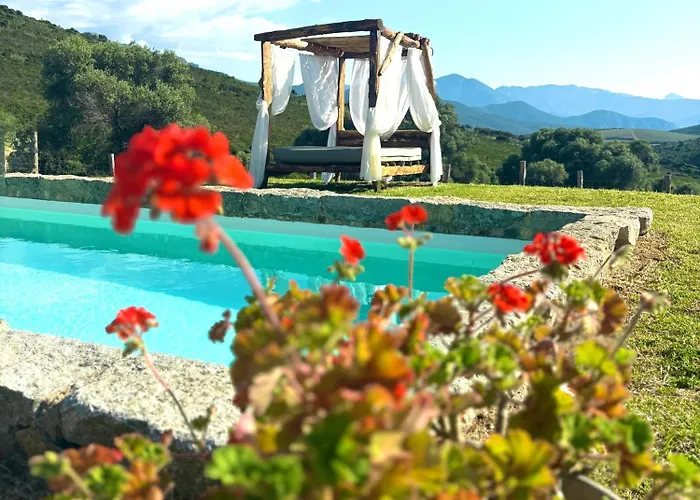 Bergerie De Charme Pedi Lione Villa Calvi  fotoğrafı
