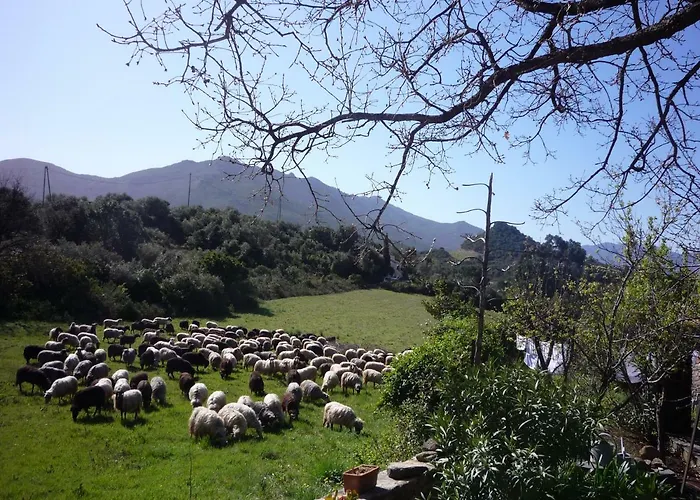 A Camera Di A Vigna Casta photo